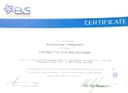 EVS Professional Training Institute